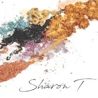 Sharon T Makeup Artist