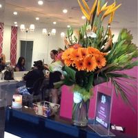 Shine Hair Salon Rosebery