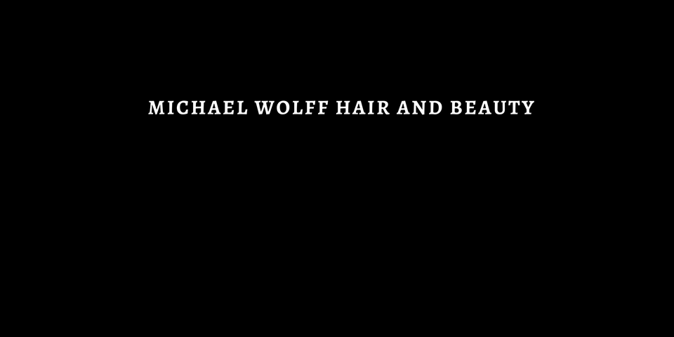 Michael Wolff Salon