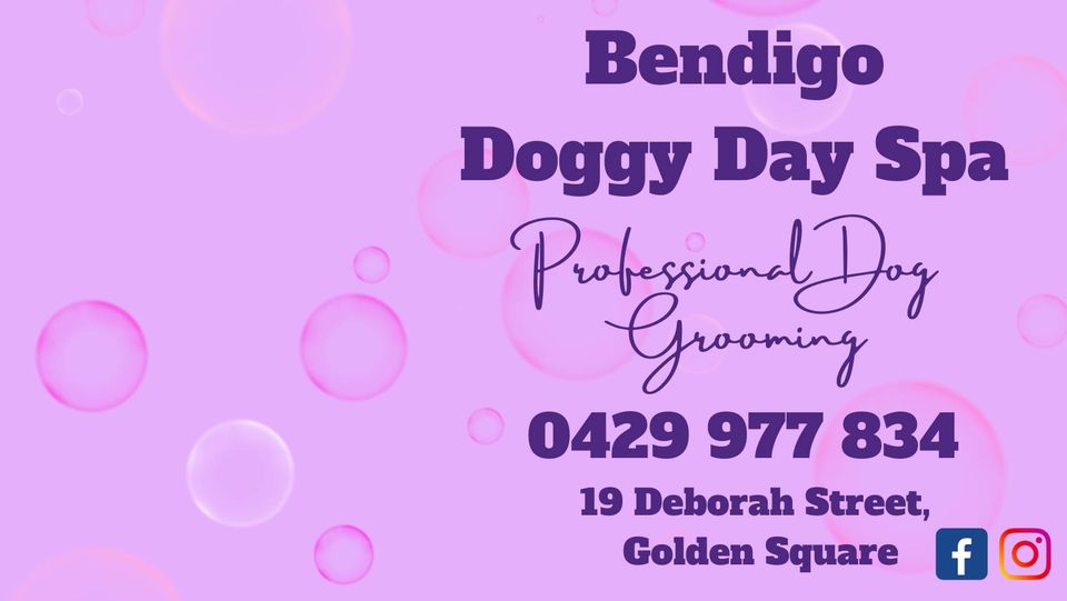 Bendigo Doggy Day Spa