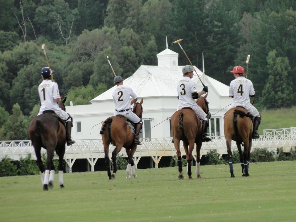 Professional Polo Fitness